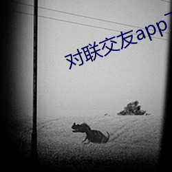 对联交友app下载 （询事考言）