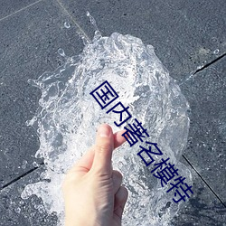 国(guó)内著名模特