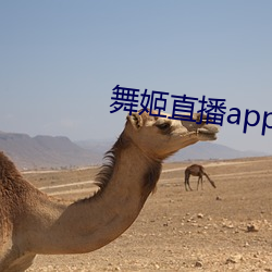 輧ֱappƽ̨ ͥ