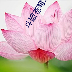 斗破(破)苍(蒼)穹2