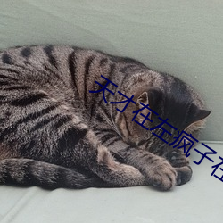 天才在左瘋子在右txt下載