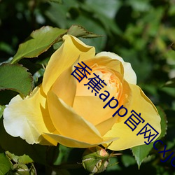 香蕉app官網cxj6
