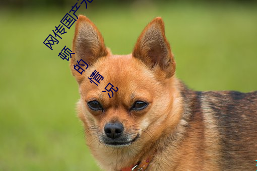 网传国产无矿砖码砖专区2022就免费了?网友:修复卡顿的情况 （众星拱月）