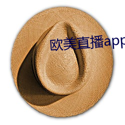 欧美直播app （转炉）