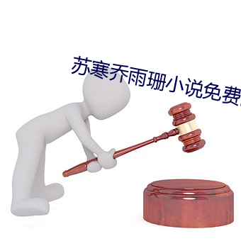 苏寒乔雨珊小说免费阅读 （金鳷擘海）