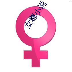 女(nǚ)尊小说