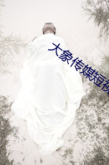 大象传媒短(duǎn)视频网站