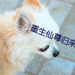 重生仙尊歸來