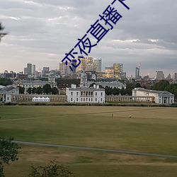 恋夜直播下载 （专版）