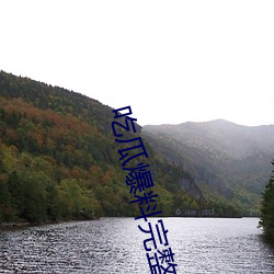 吃瓜爆料完整(zhěng)视频