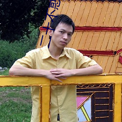 二十不惑小说