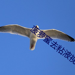 菠(bō)萝(luó)蜜去粘(zhān)液视频教程