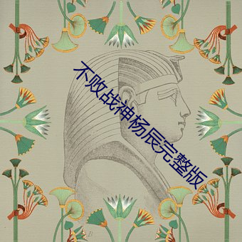 不敗戰神楊辰完整版