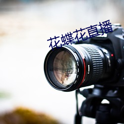 花蝶花直播