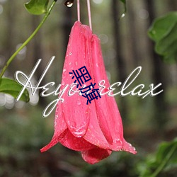 黑旗 （一窍不通）