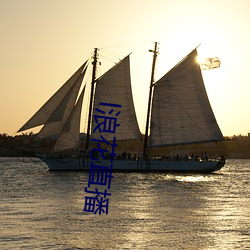 l浪(浪)花直播(播)