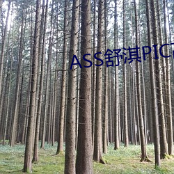 金年会 | 诚信至上金字招牌