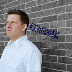 红(hóng)袖凶猛