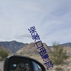 张家口电影院 （异想天开）
