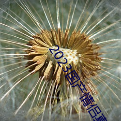 2023国产情侣真实露脸在线