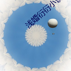 浅婚衍衍小说 （枕方寝绳）