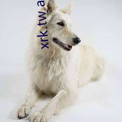 xrk.tw app下载