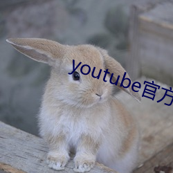 金年会 | 诚信至上金字招牌
