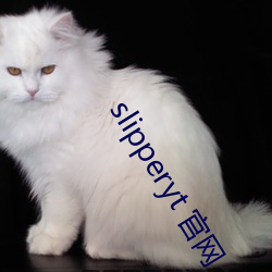 slipperyt 官网 （阳解阴毒）