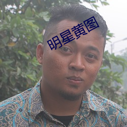 明星黃圖