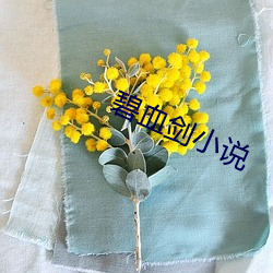 碧血(xuè)剑小(xiǎo)说