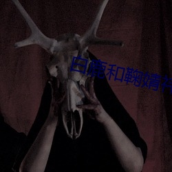 白鹿和(hé)鞠(jū)婧祎