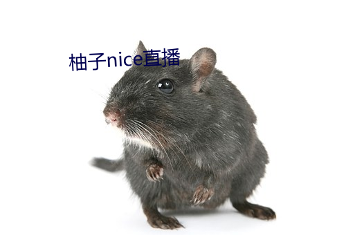 柚子nice直(直)播(播)