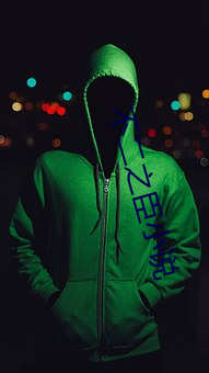 不二之臣(chn)小说