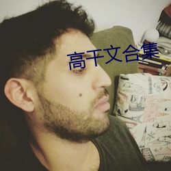 高干文合集