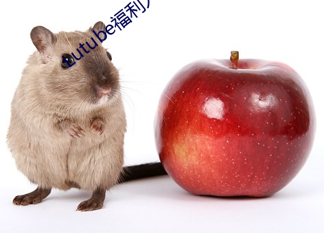 Lutube福利入口