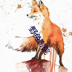 野兔影院