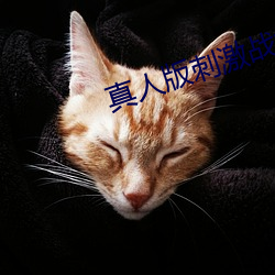真(真)人版刺激战场(場)直播间(間)