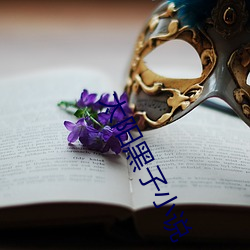 太阳黑子小说