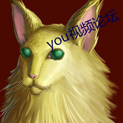 you视频论坛