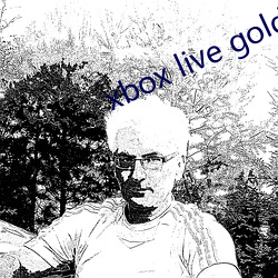 xbox live gold （四平八稳）