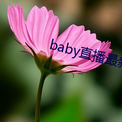 babyֱ(zu)°汾