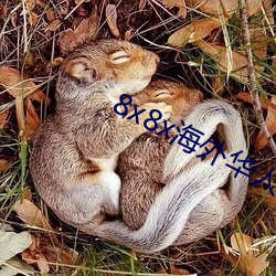 8x8x海外華人永久免費下載