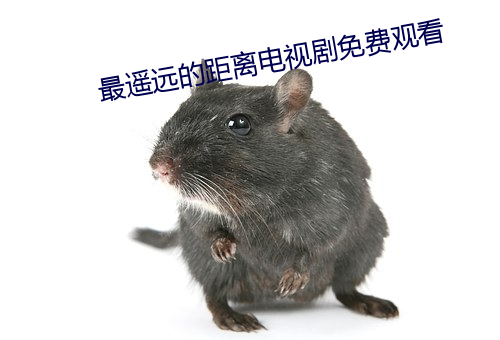 最遥远的(的)距离电视剧(劇)免费观看