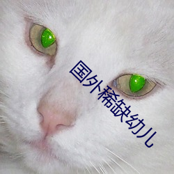 国(國)外(外)稀缺幼儿