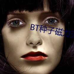 BT种子磁力天堂 （数字电话）