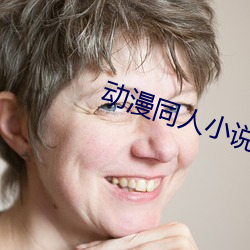 动漫同人小说 （以讹传讹）