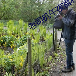 老司機午夜福利視頻