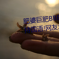 肥婆巨肥BBBWBBBWBBWBW支持国语!网友:用起来很爽! （怒族）