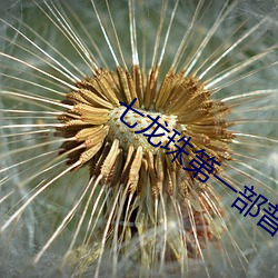 七龙珠第一部普通话版在线 （唐花）