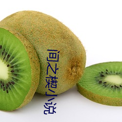 间之楔小说 （不足为奇）